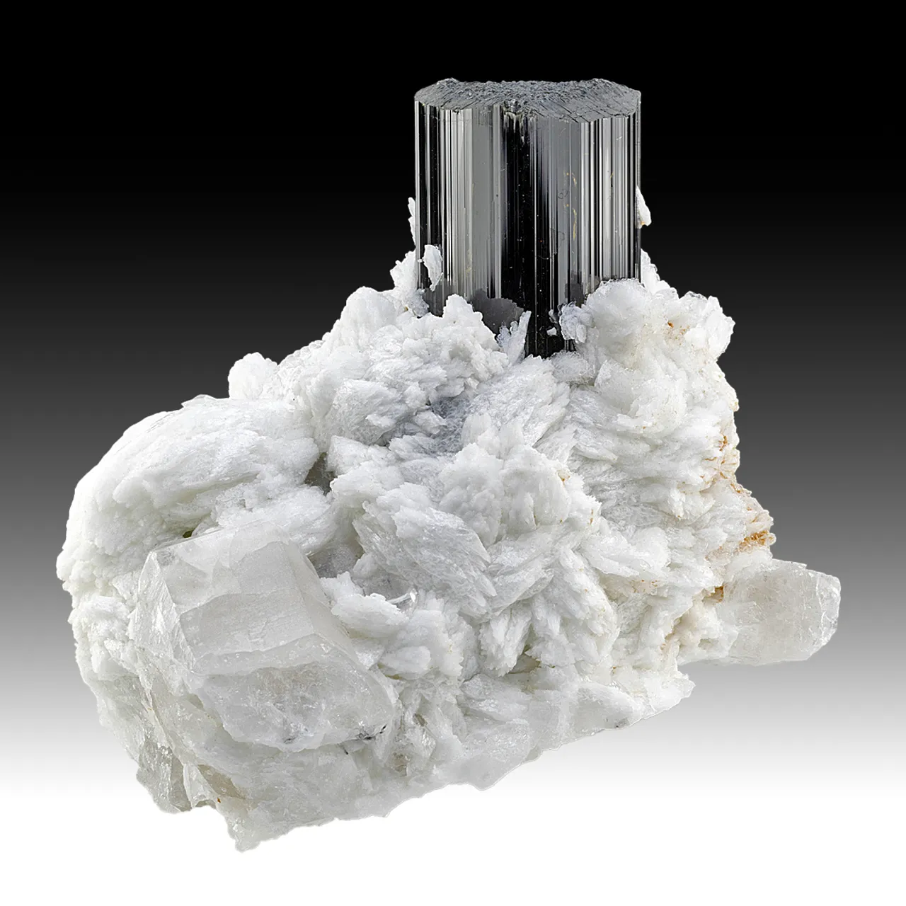 Schorl with Albite, Quartz - image 1