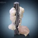 Schorl with Apatite and Albite from Stak Nala Pakistan - image 1