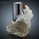 Schorl with Apatite and Spessartine on Cleavelandite and Quartz - image 2