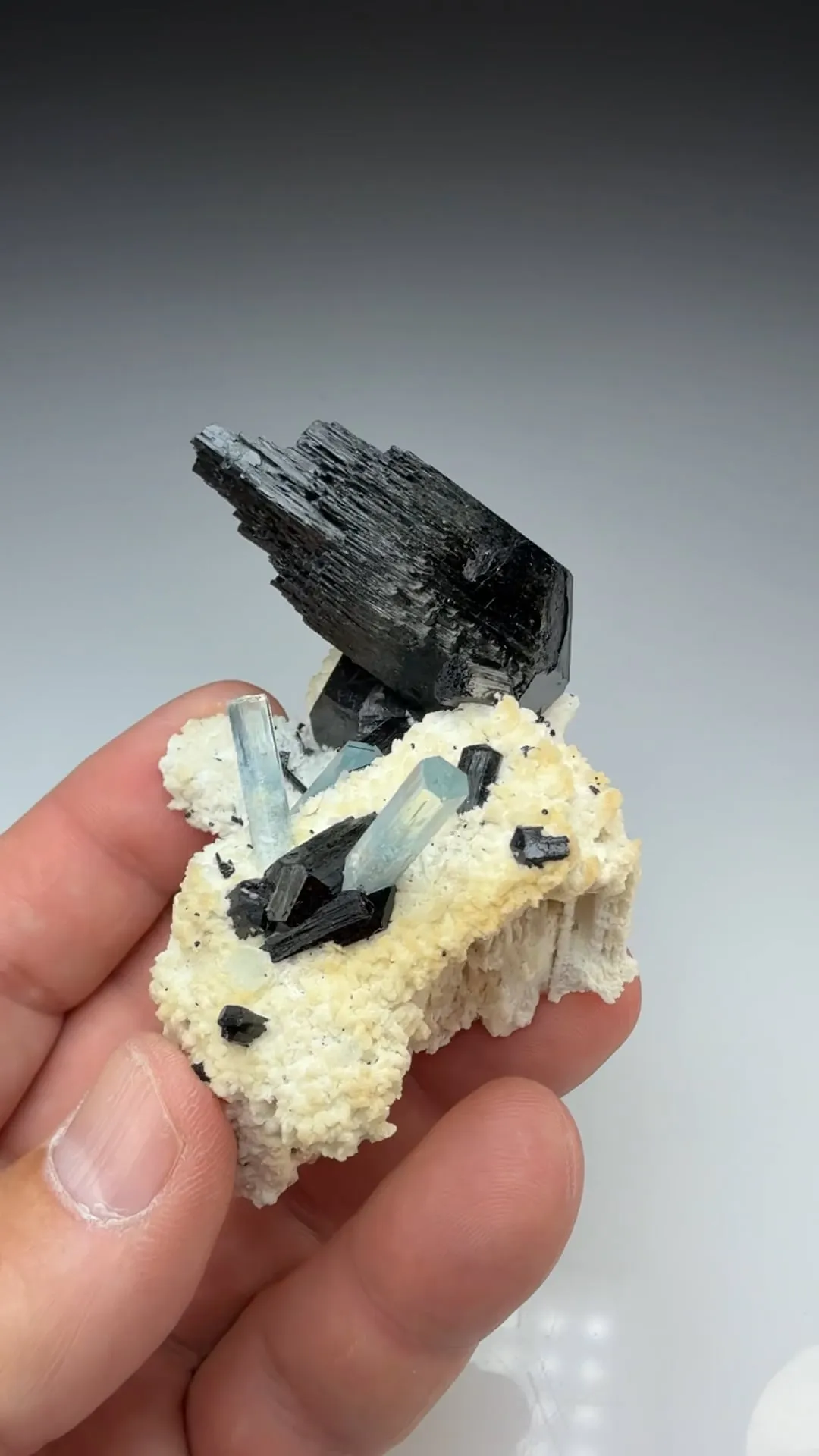 Schorl with Beryl, Orthoclase (1561) - image 2