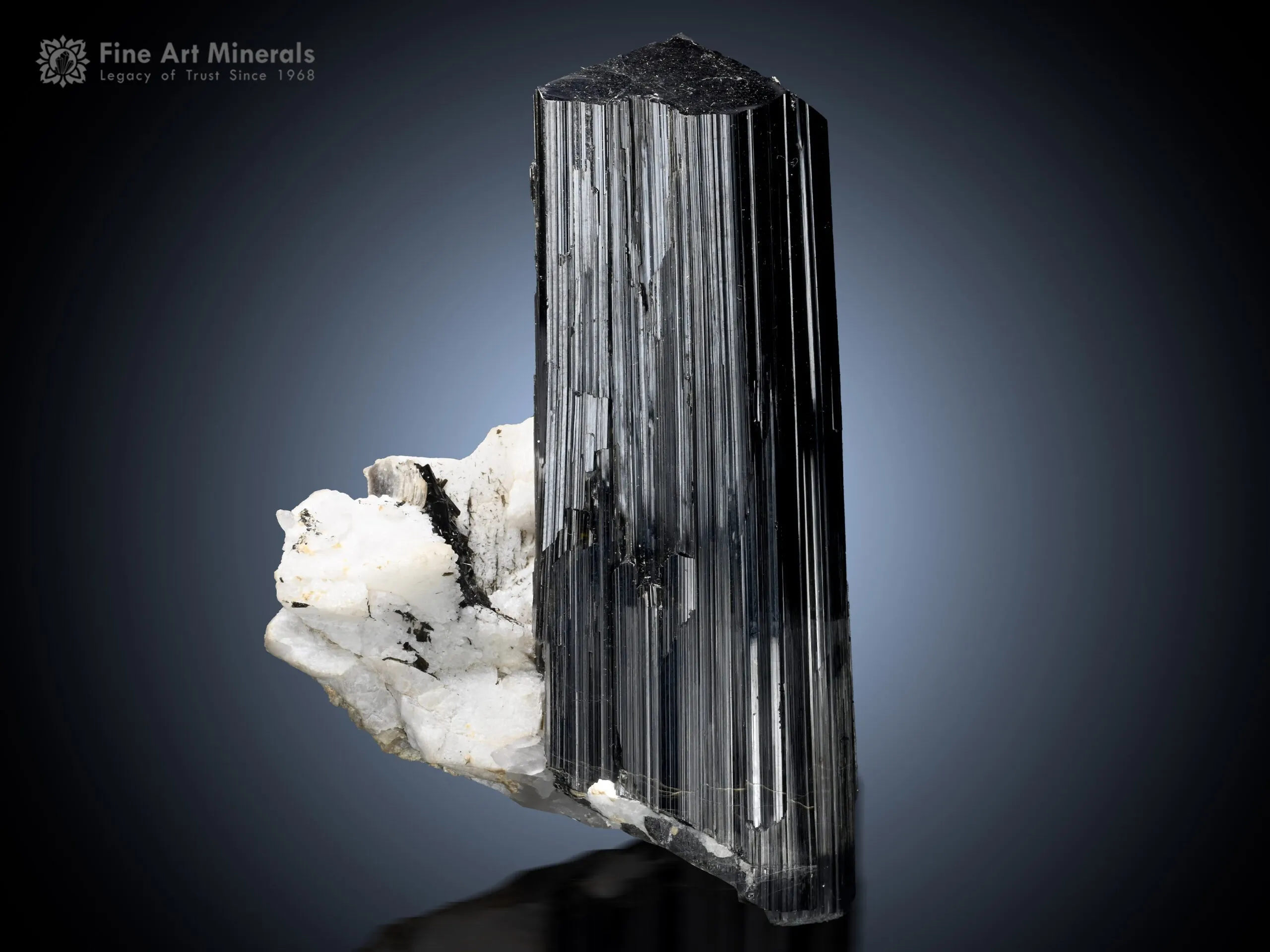 Schorl with Feldspar Matrix from Stak Nala Pakistan - image 1