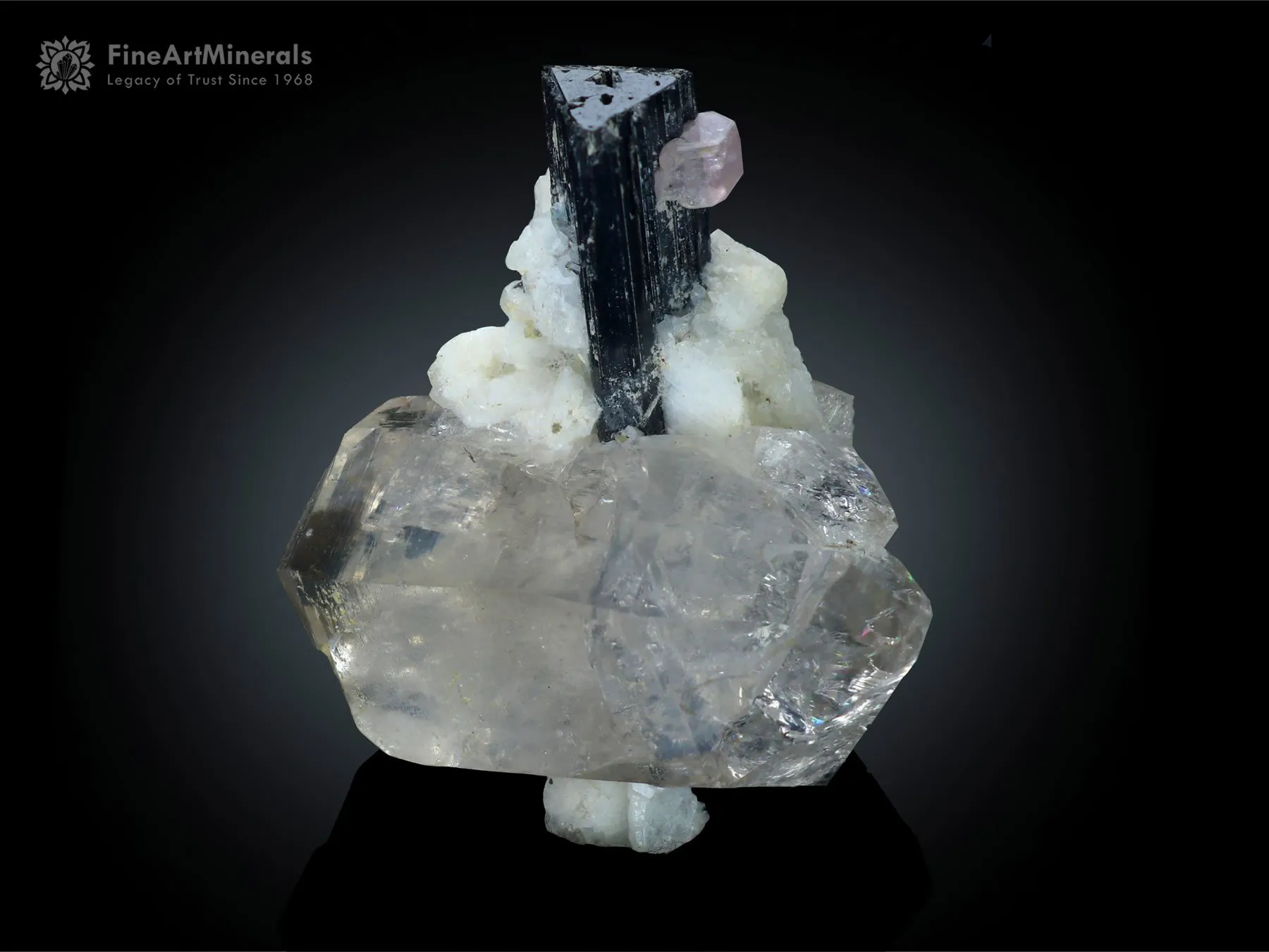 Schorl with Floater Quartz Apatite and Feldspar from Stak Nala Pakistan - image 1