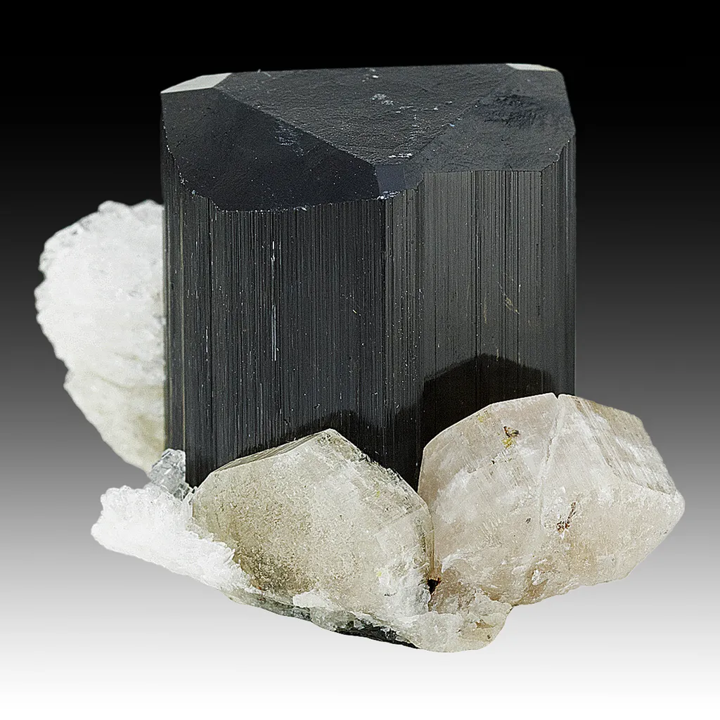 Schorl with Fluorapatite, Albite image