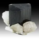 Schorl with Fluorapatite, Albite - image 1