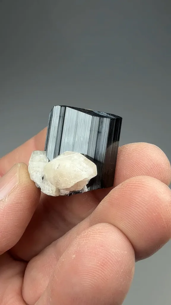 Schorl with Fluorapatite, Albite - image 2