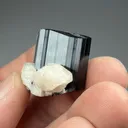 Schorl with Fluorapatite, Albite - image 2