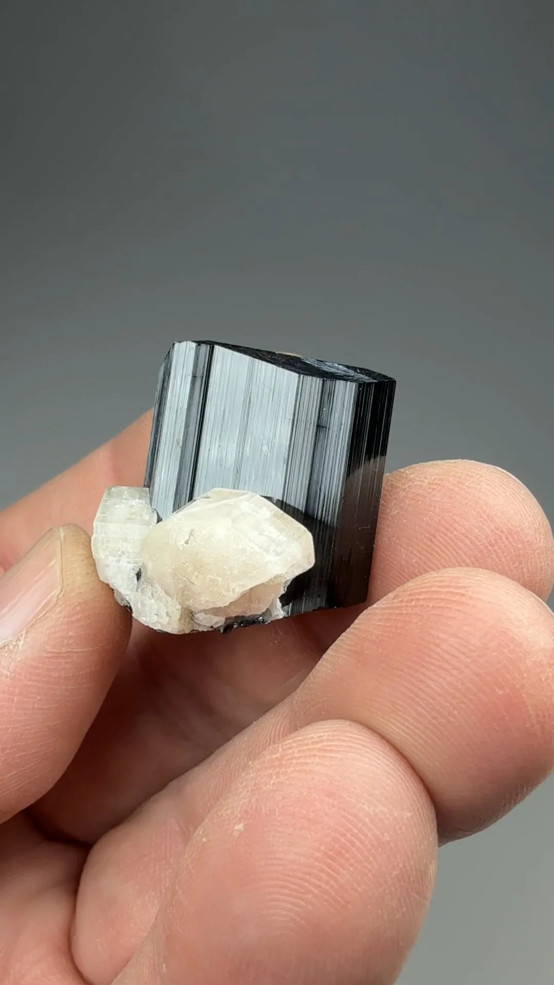 Schorl with Fluorapatite, Albite - image 2