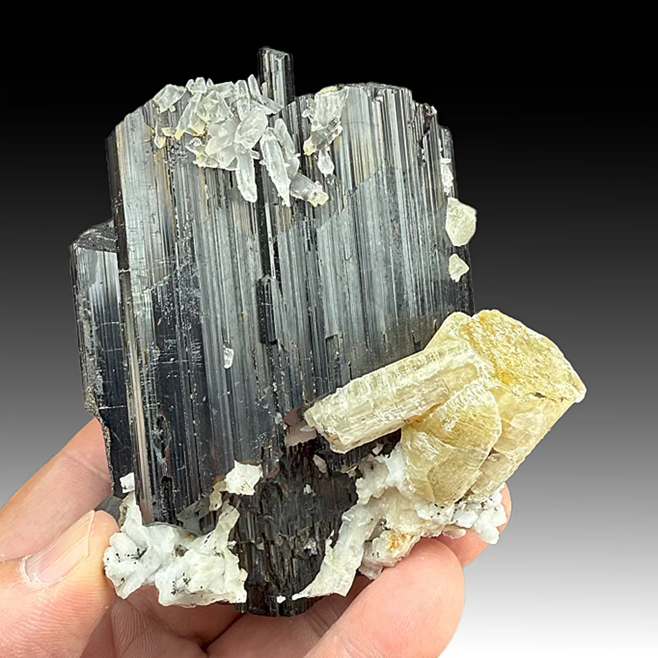 Schorl with Fluorapatite, Quartz - image 1