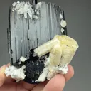 Schorl with Fluorapatite, Quartz - image 2