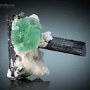 Schorl with Fluorite on Feldspar from Stak Nala Pakistan - image 2