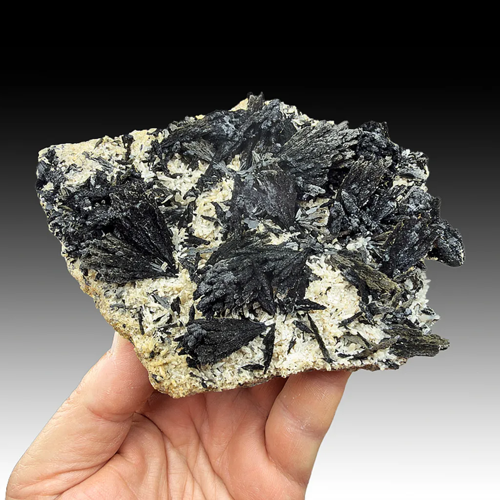 Schorl with Quartz image