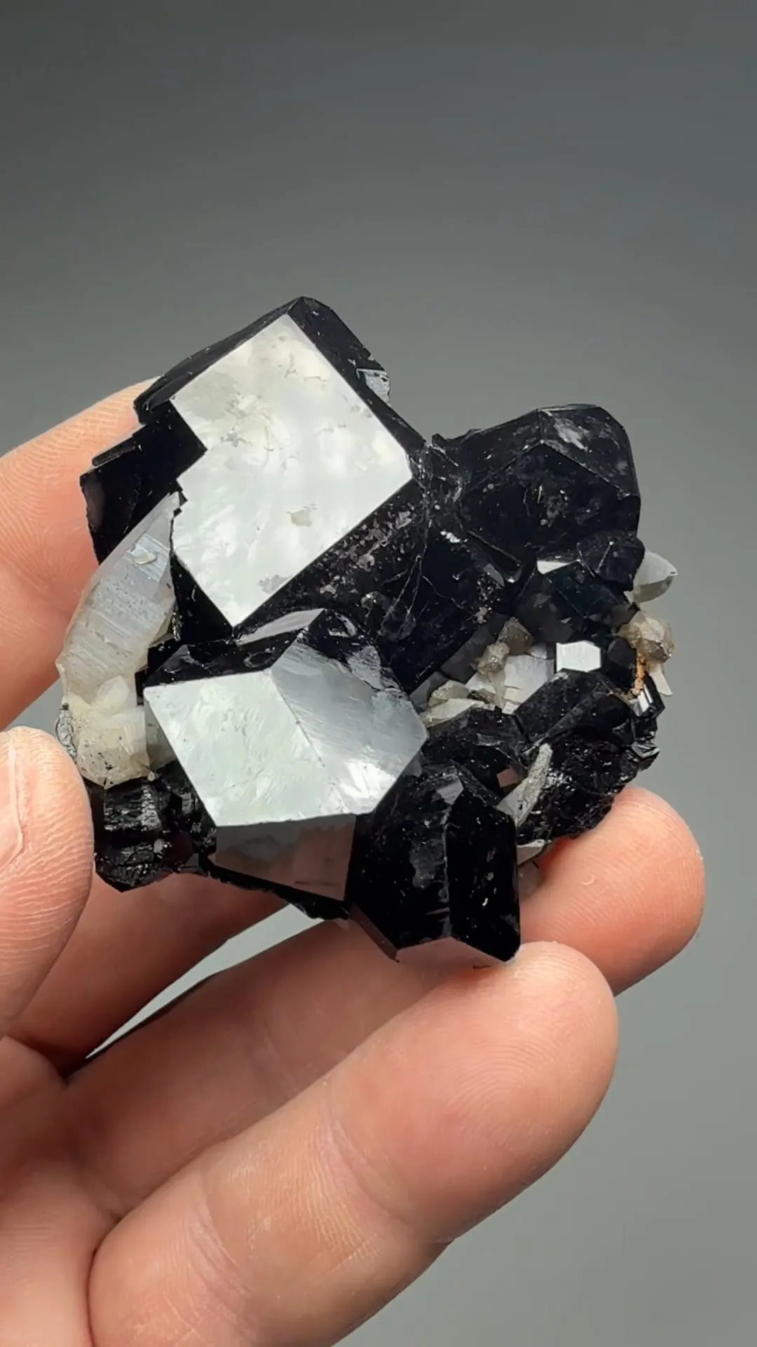 Schorl with Quartz - image 2