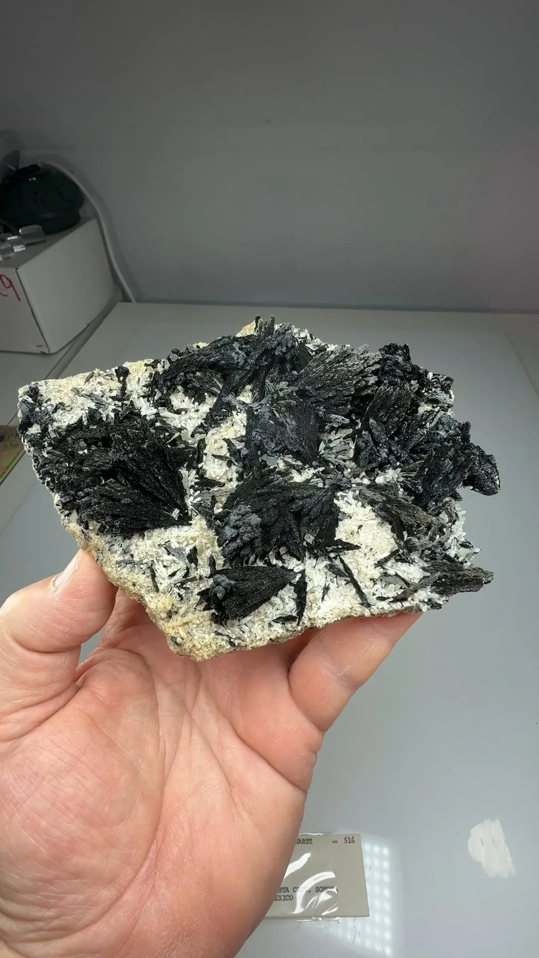 Schorl with Quartz - image 2