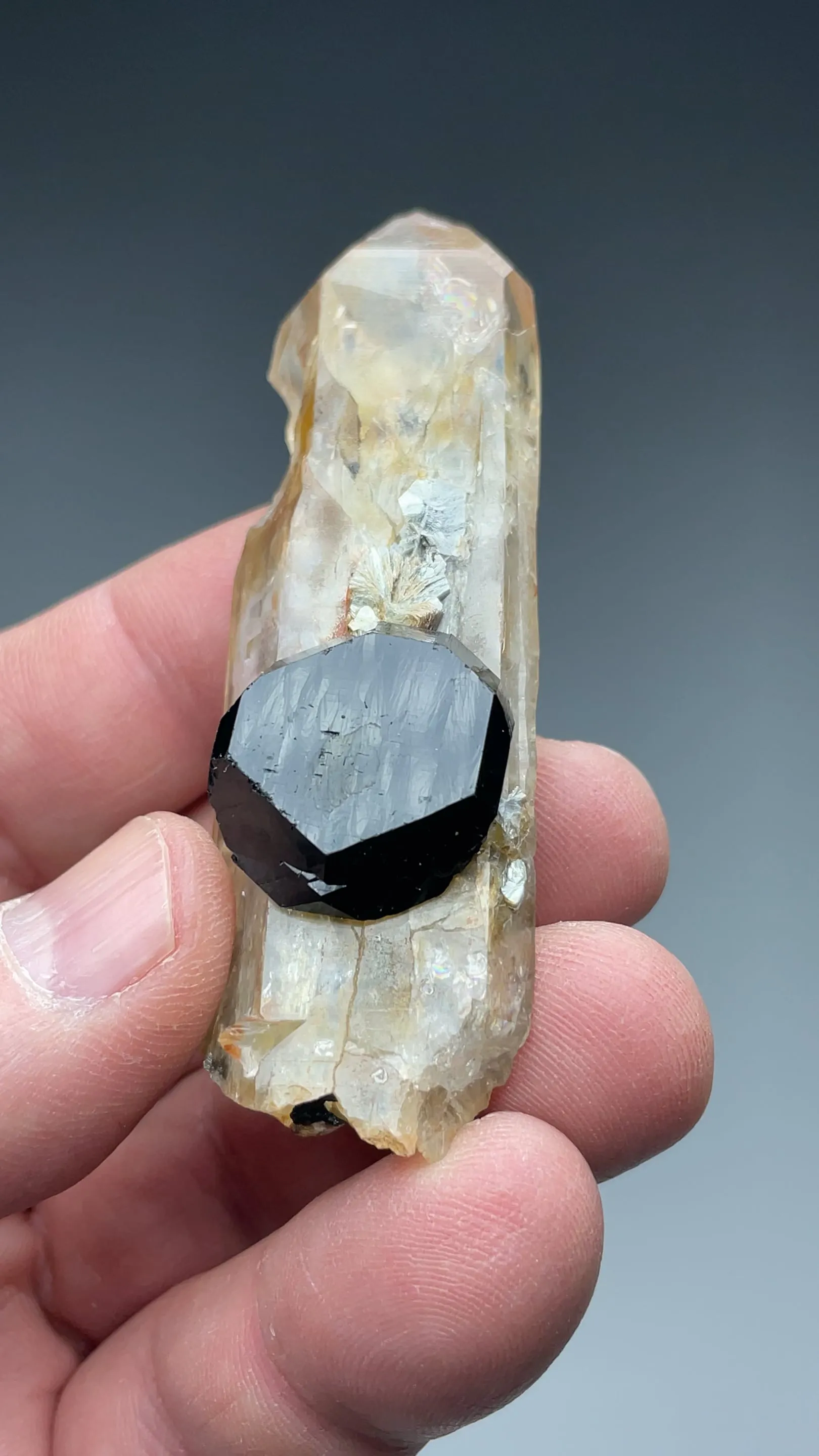 Schorl with Quartz - image 2