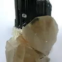 Schorl With Quartz And Albite - image 1
