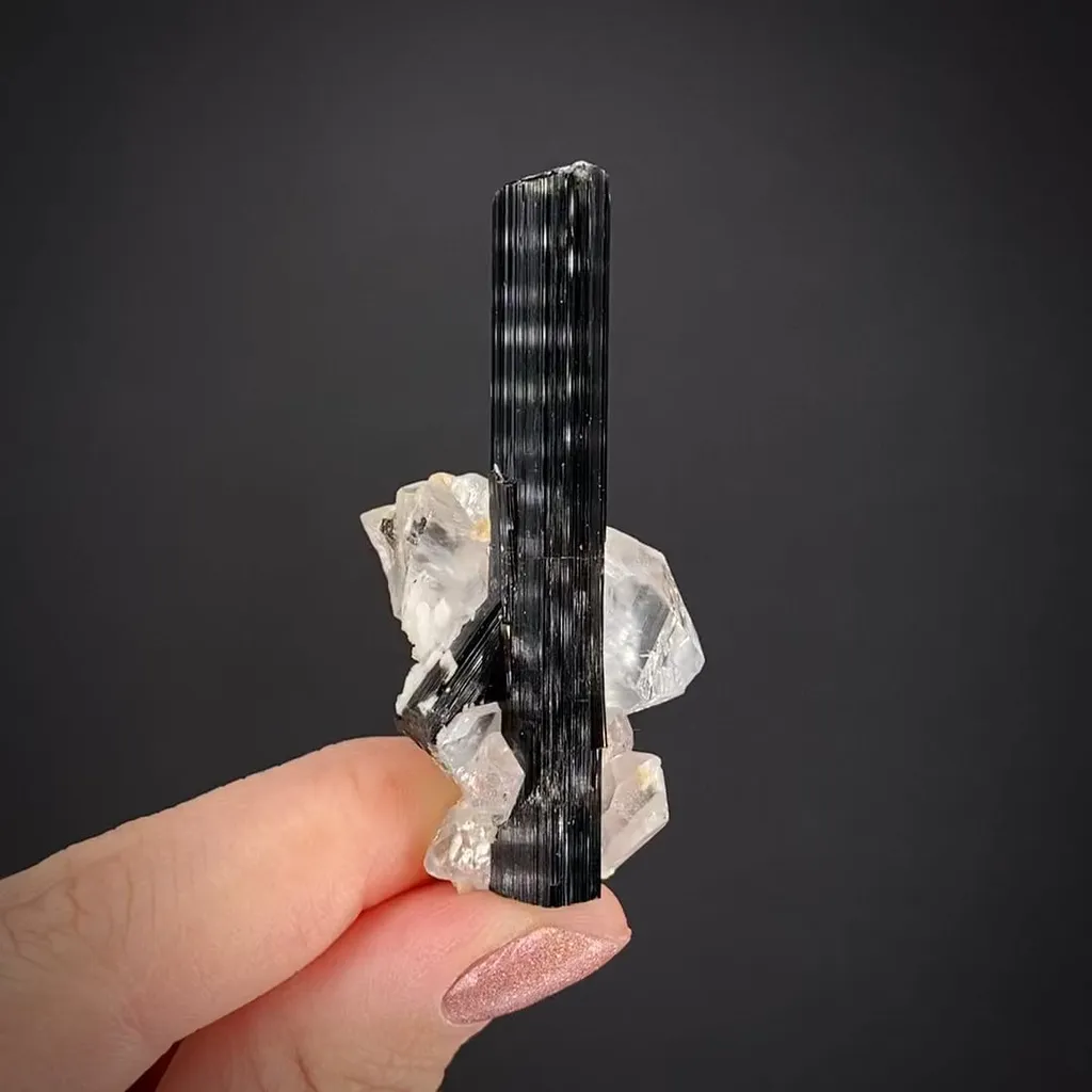 Schorl with Quartz image