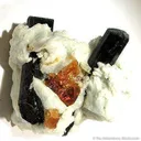 Schorl With Spessartine on Albite - image 2