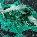 Schultenite on Adamite Var. Cuproadamite - image 1