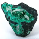 Schultenite on Adamite Var. Cuproadamite - image 2