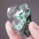 Schultenite with Zincolivenite - image 2