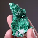 Schultenite Zincolivenite - image 2