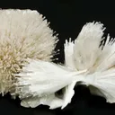 Scolecite - image 1