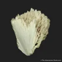 Scolecite - image 2