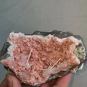 specimen video