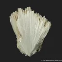 Scolecite - image 1
