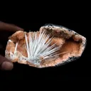 Scolecite Accular Sprays Inside Heulandite Geode Natural Mineral Specimen - image 4