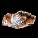Scolecite Accular Sprays Inside Heulandite Geode Natural Mineral Specimen - image 1