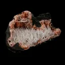Scolecite Accular Sprays Inside Heulandite Geode Natural Mineral Specimen - image 2