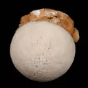 Scolecite Ball on Stilbite Natural Mineral Specimen - image 3