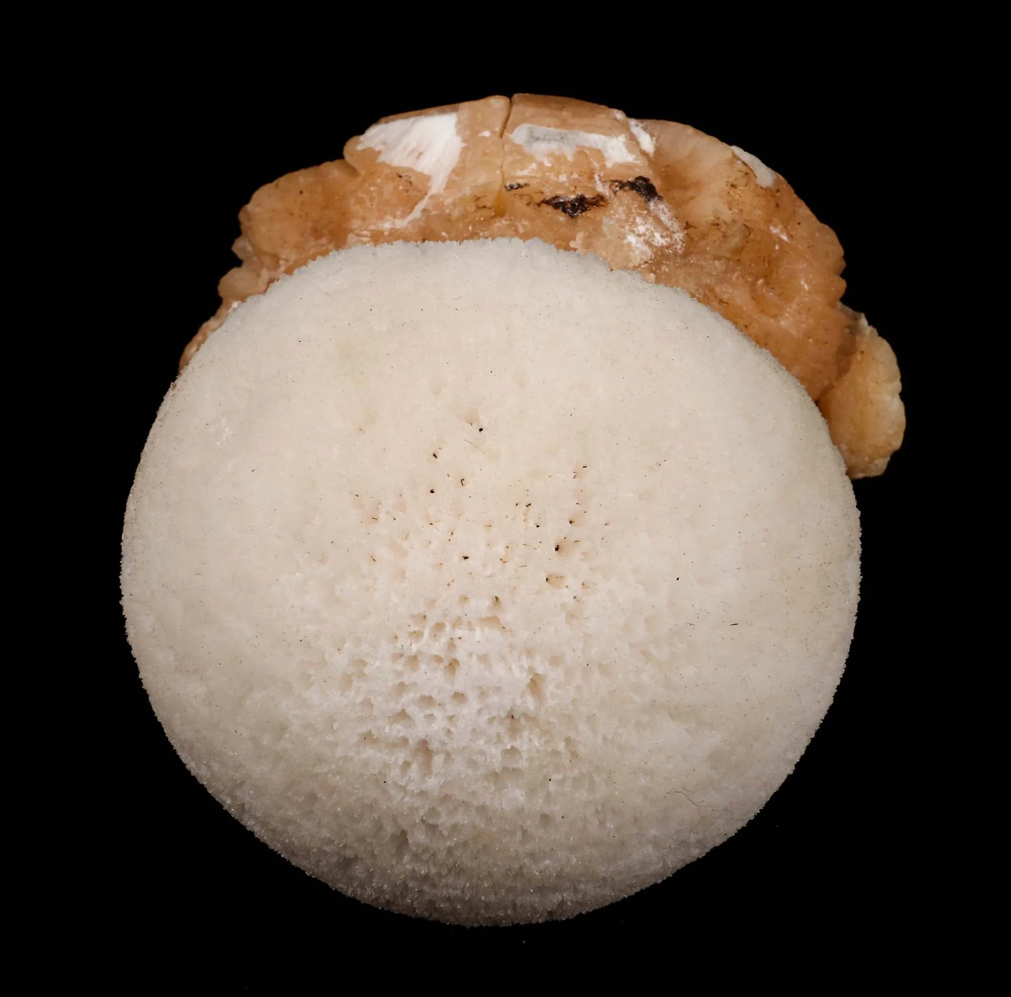 Scolecite Ball on Stilbite Natural Mineral Specimen - image 3