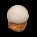 Scolecite Ball on Stilbite Natural Mineral Specimen - image 4