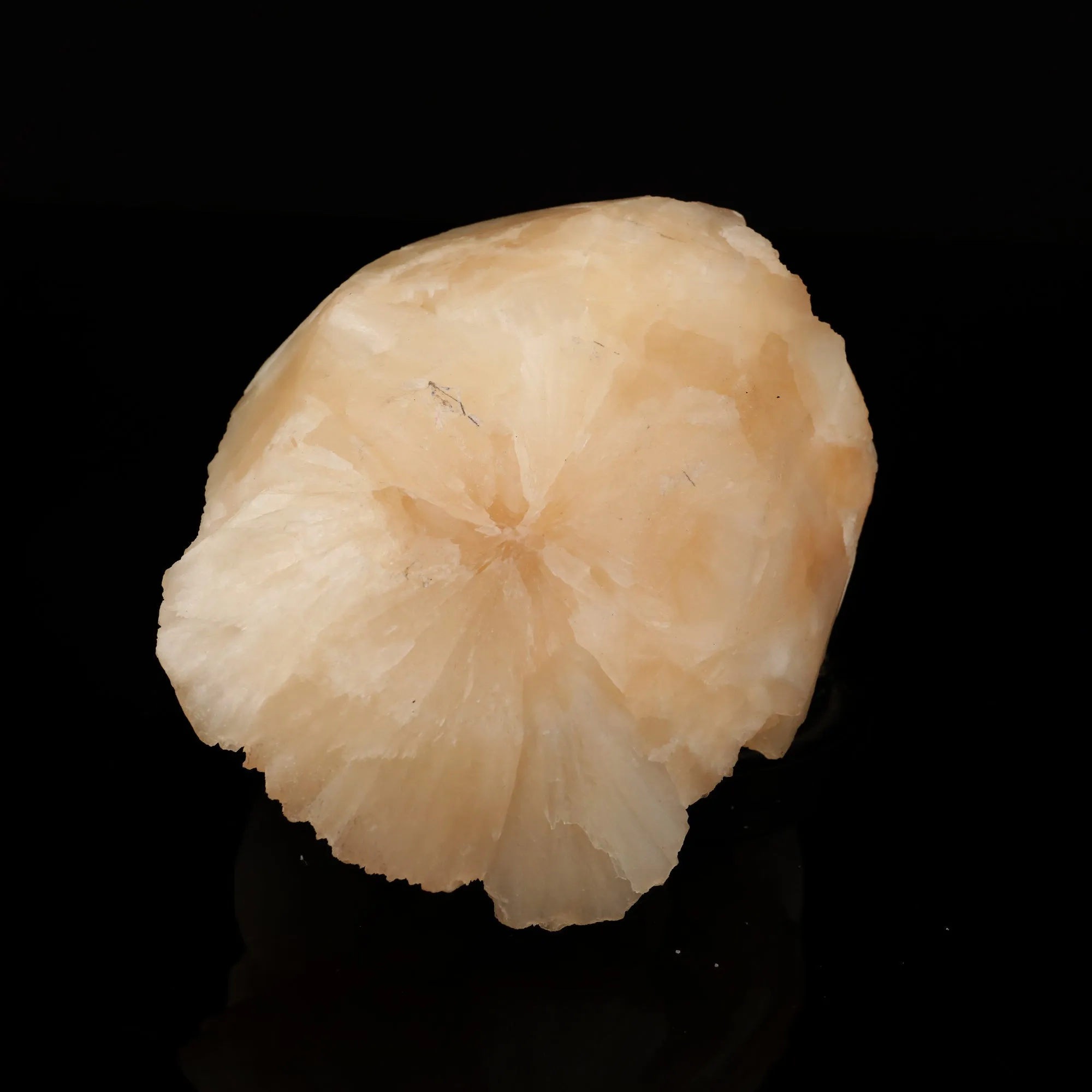 Scolecite Ball on Stilbite Natural Mineral Specimen - image 3