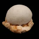 Scolecite Ball on Stilbite Natural Mineral Specimen - image 1