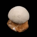 Scolecite Ball on Stilbite Natural Mineral Specimen - image 1