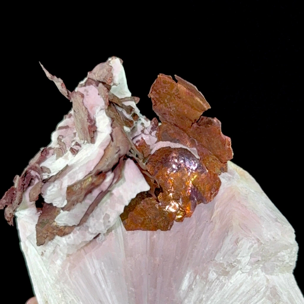 Scolecite from Ahmednagar District, Nashik Division, Maharashtra, India - image 5