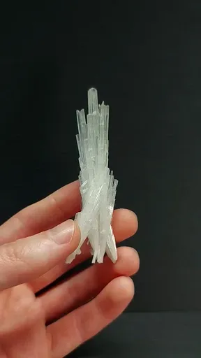 specimen video