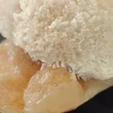specimen video