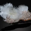 Scolecite Glassy Spray Formation with Stilbite Crystals on Heulandite - image 3