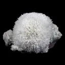 Scolecite Hemispheres with Apophyllite on Stilibite Natural Mineral Specimen - image 6