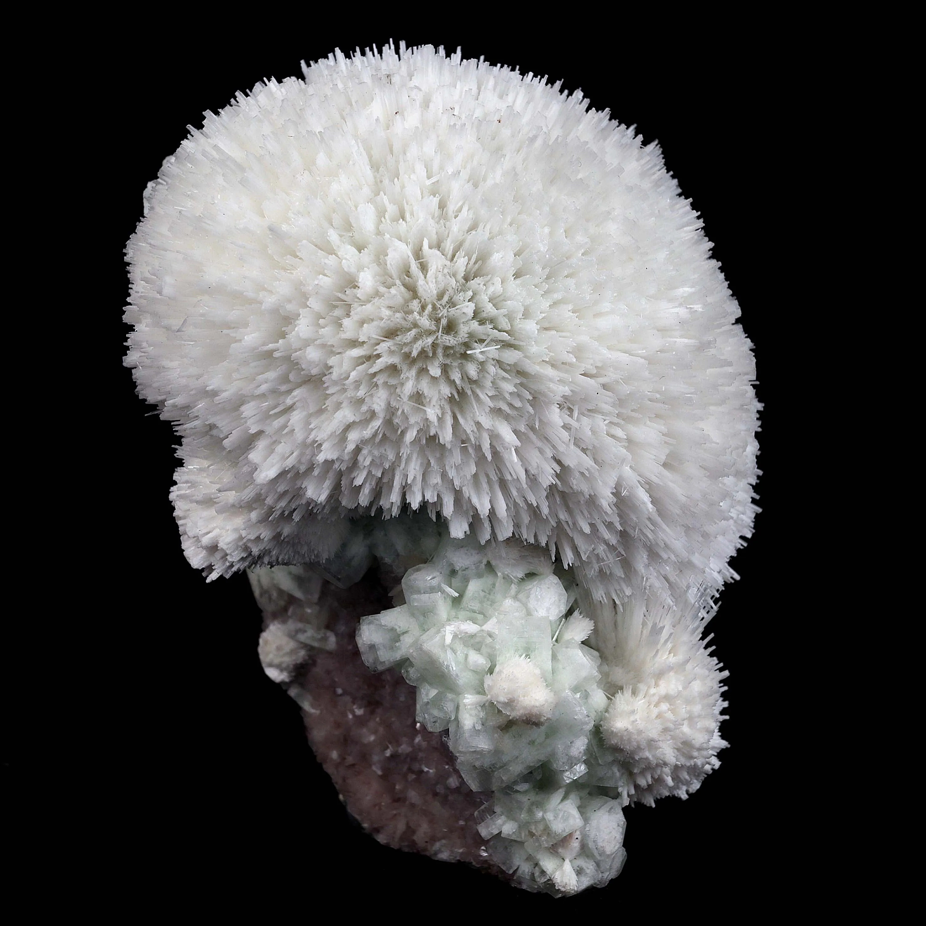 Scolecite Hemispheres with Apophyllite on Stilibite Natural Mineral Specimen - image 5