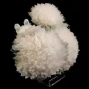 Scolecite Huge Spray on Green Apophyllite Cube Natural Mineral Specimen - image 2