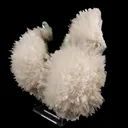 Scolecite Huge Spray on Green Apophyllite Cube Natural Mineral Specimen - image 3