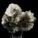 Scolecite Huge Spray on Green Apophyllite Cube Natural Mineral Specimen - image 5