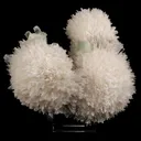Scolecite Huge Spray on Green Apophyllite Cube Natural Mineral Specimen - image 1