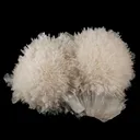 Scolecite Huge Spray with Green Apophyllite Cube Natural Mineral Specimen - image 1