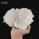 Scolecite Huge Spray with Green Apophyllite Cube Natural Mineral Specimen - image 6